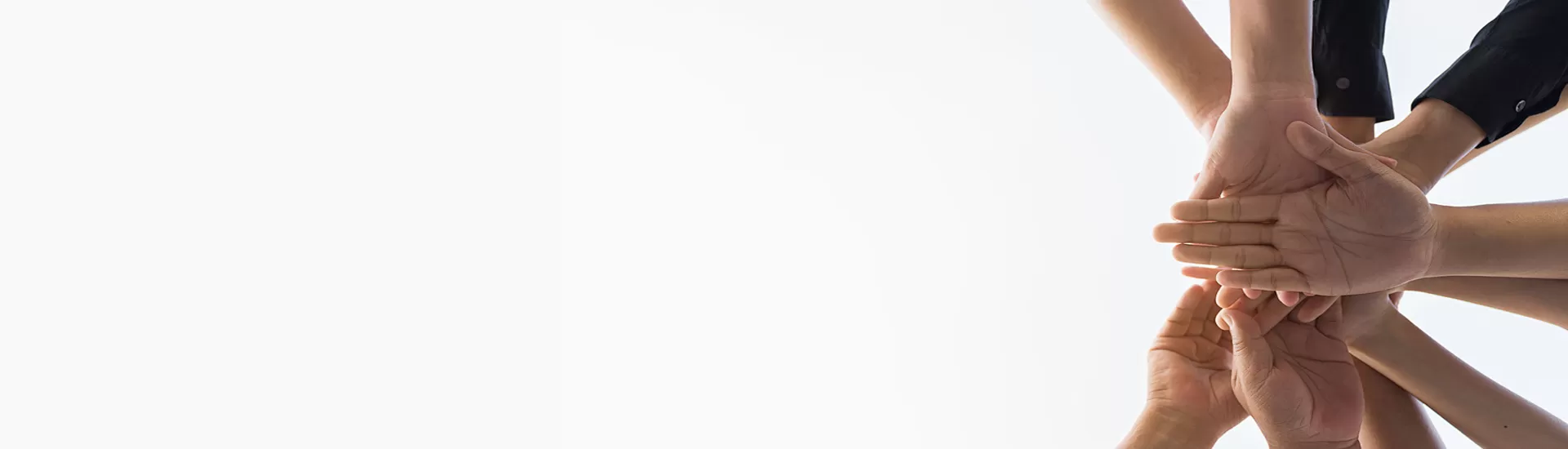 グローバルパートナーシップ & エージェントサポートプログラム: Celixで持続可能な未来を築く