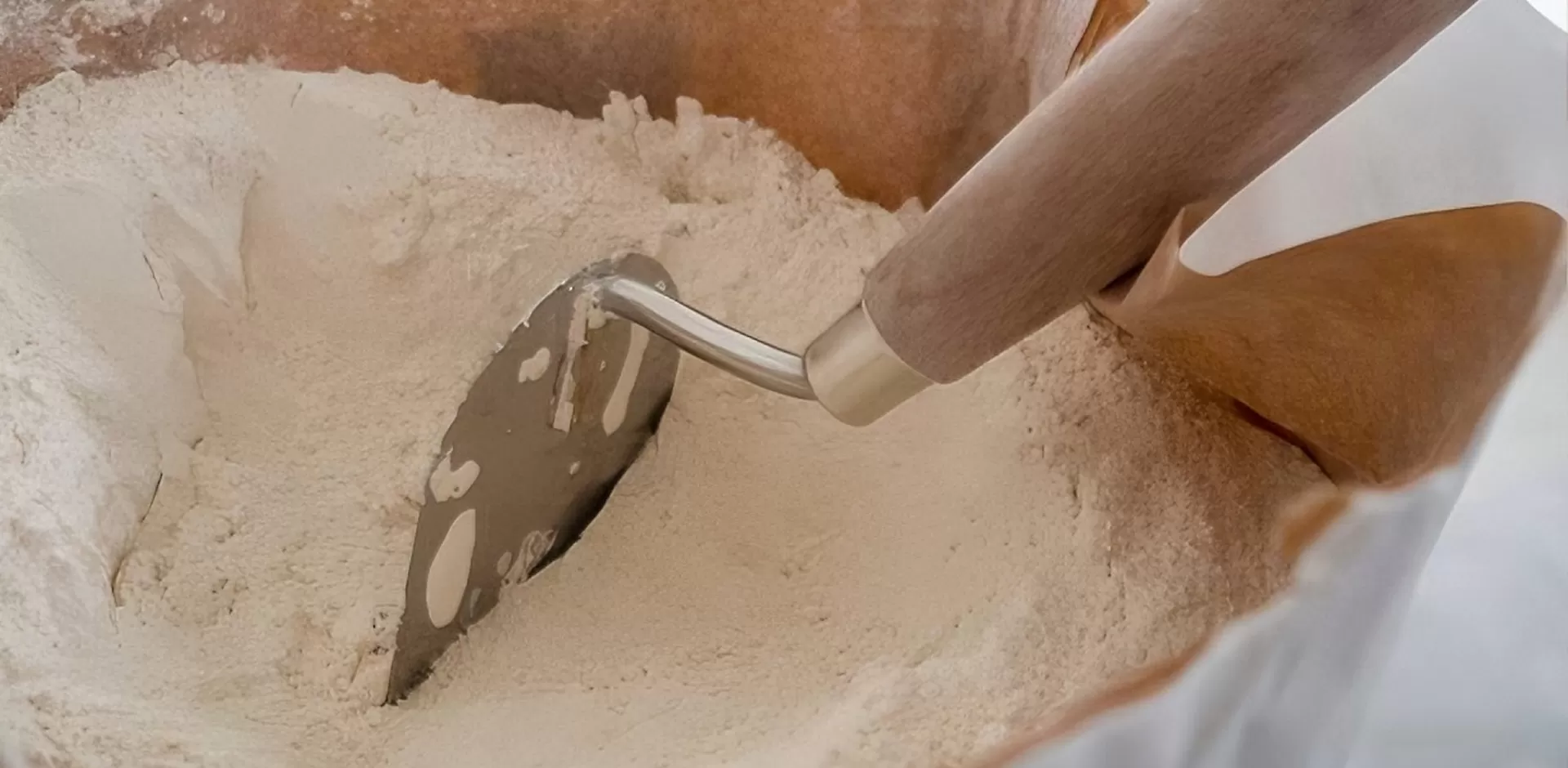 ウォールパテのセルロースの背後にある科学