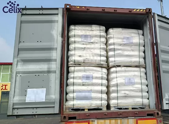 袋を超えて：Celix Celluloseが特殊な輸出包装で製品の完全性を確保する方法