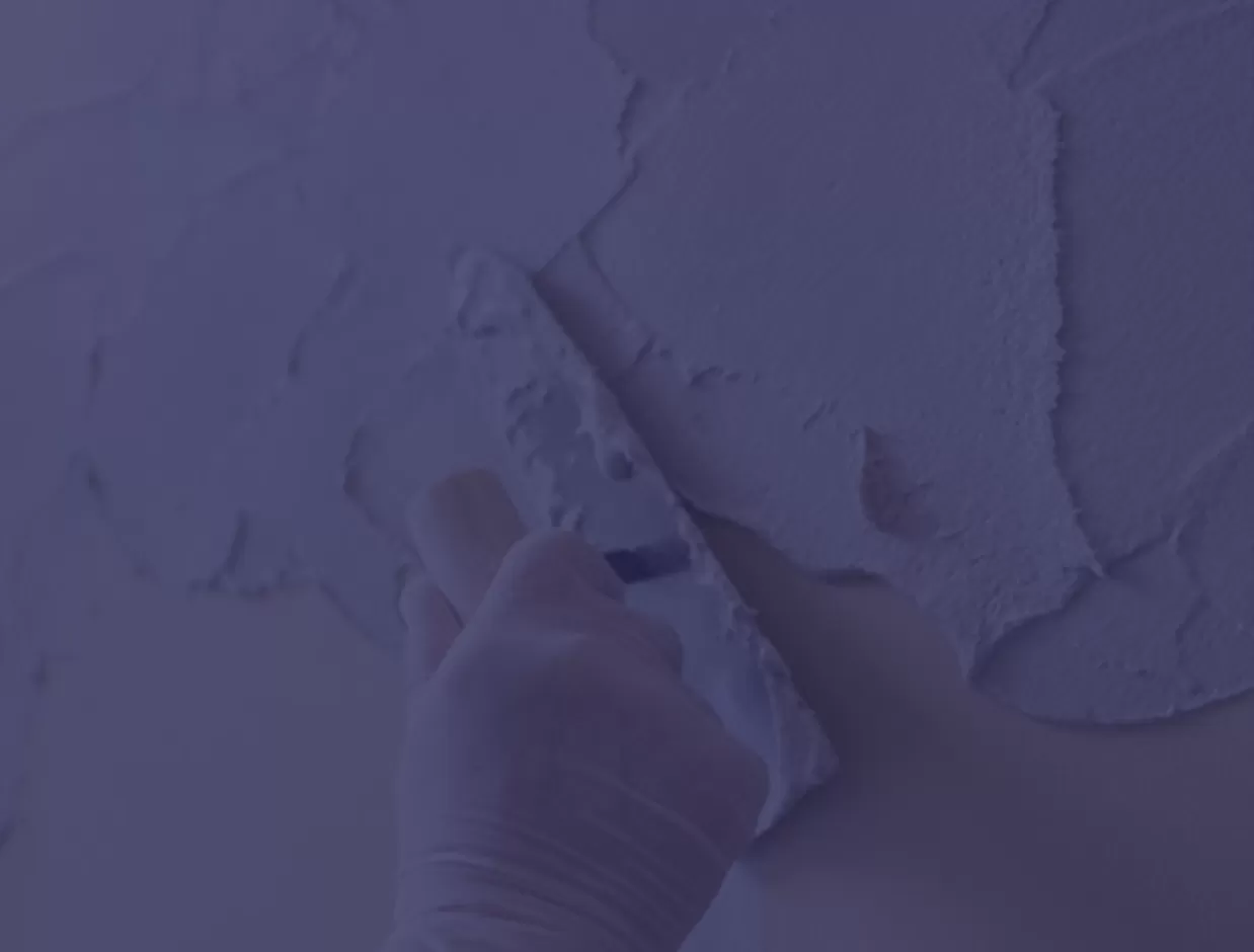 ヒドロキシプロピルメチルセルロース (HPMC)