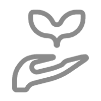 安全で非毒性、生理学的に無害