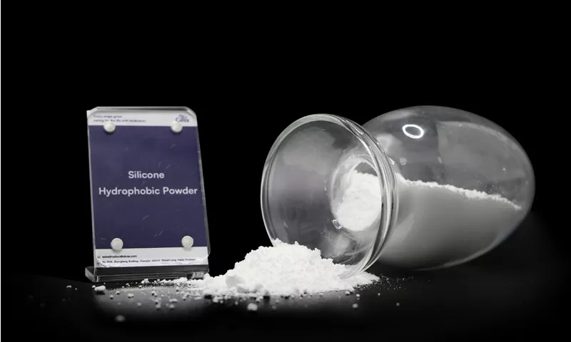使用のためのシリコーンの疎水性の粉