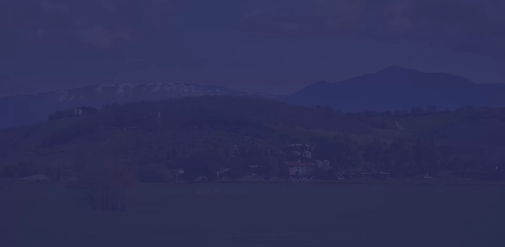 Celixの持続可能性