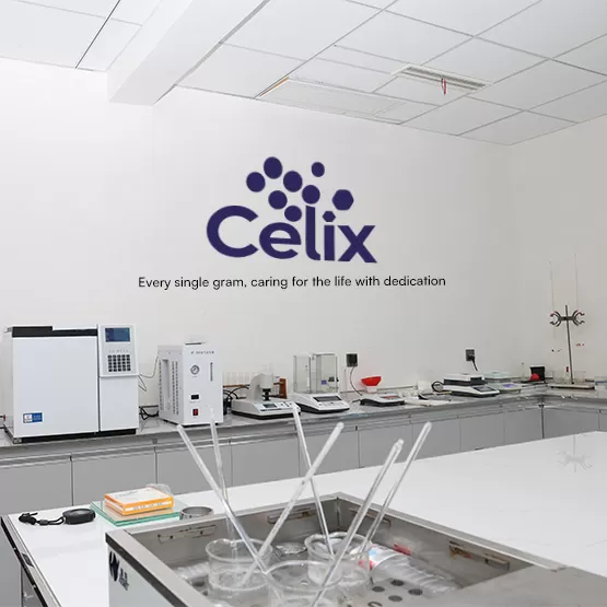 HPMC輸出用の分析証明書（COA）のバッチデータを確認するCelix Celluloseの技術専門家