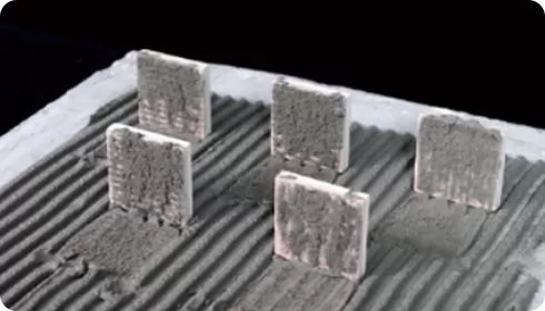 オープンタイムテスト