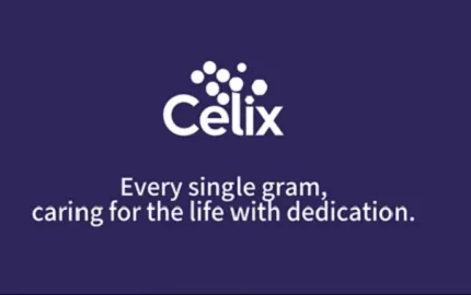 なぜ世界的な建設プロジェクトはCelixを信頼するのか